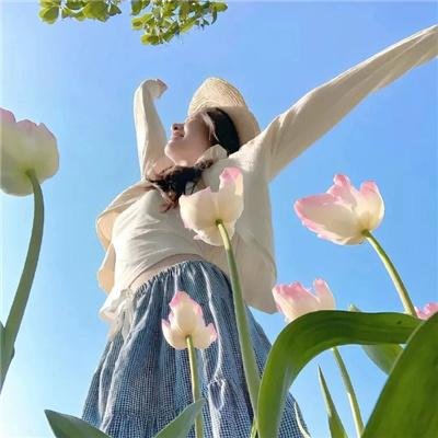 夏日天空的那匹红马