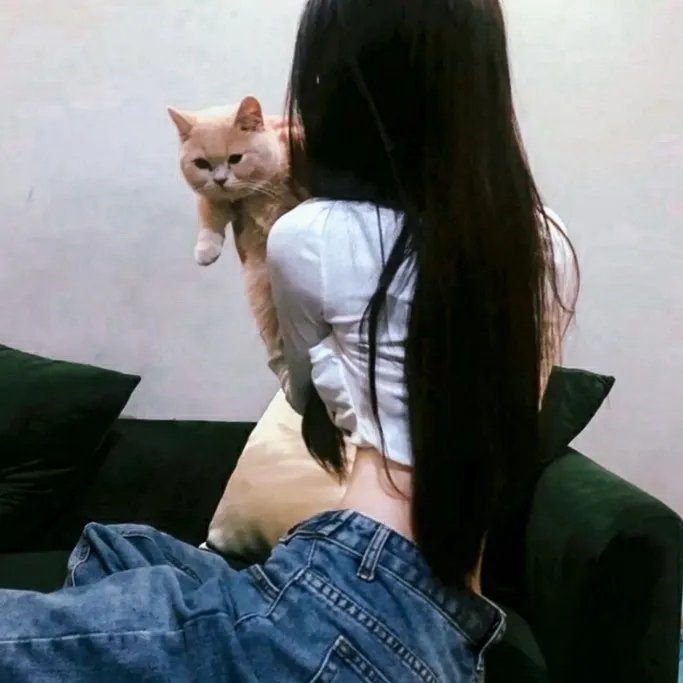 大妙谍