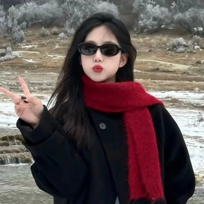 黑狐：希特勒